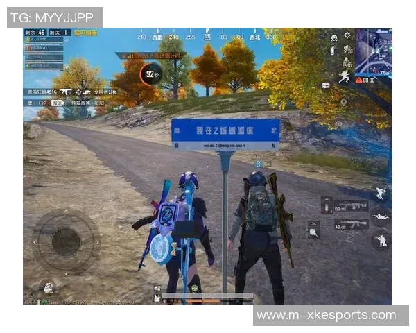 esports数据热议和平精英IG耐力变革对游戏平衡与玩家体验的深远影响分析