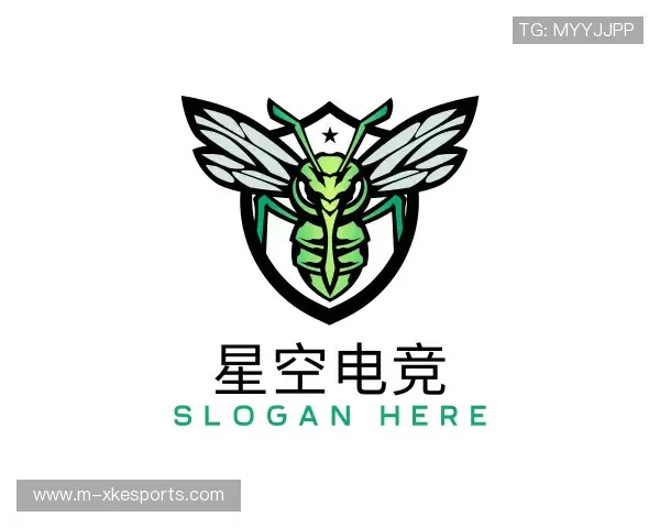 知道星空电竞